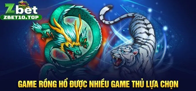 11 game rong ho duoc nhieu game thu lua chon Game rồng hổ luôn được các cao thu săn đón tại zbet