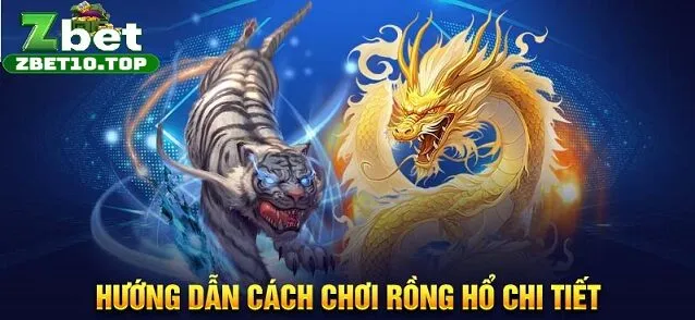 12 huong dan cach choi rong ho chi tiet Hướng đẫn cách chơi rồng hổ chi tiết tại zbet