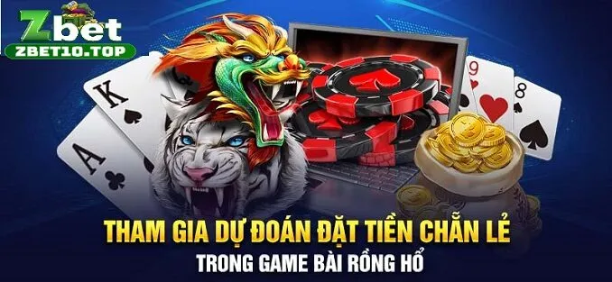 14 tham gia du doan dat tien chan le trong game bai rong ho Dự đoán đặt cược trong game rồng hổ tại zbet